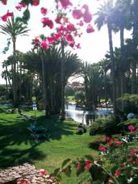 🌴 Canary Islands Oasis: Stay in Style at Hotel Riu 🏖️