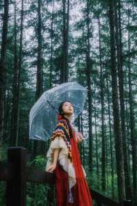秦嶺雲深不知處這就是我理想的夏日假期