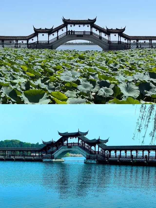 不想人擠人就來錦溪古鎮安靜的走走吧！