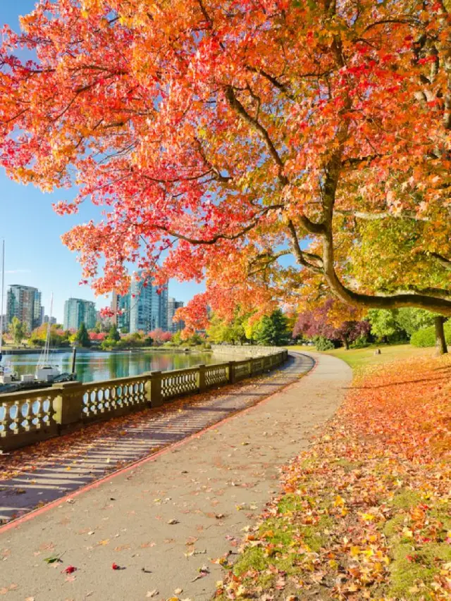 🌟 Vancouver's Top Attractions: Nature, Thrills & Culture 🌲🌉🎨