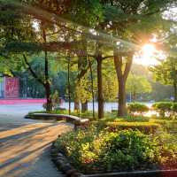 尋訪-韶城《肆拾陸》烈焰夕陽下的“中山公園”