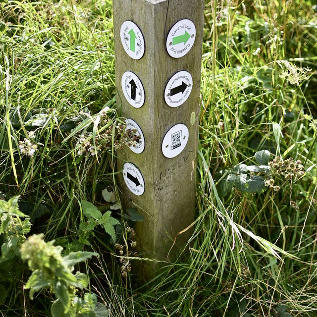 Belfast cool and breezy Cavehill