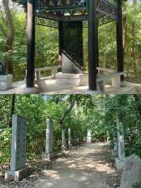 聊城周邊陽谷一日遊:景陽岡風景區→獅子樓