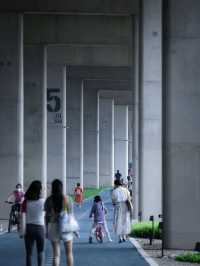 深圳城市建設的魅力❗