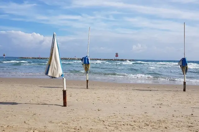 เทลอาวีฟ: งานเลี้ยงแฟชั่นของเมืองริมทะเล