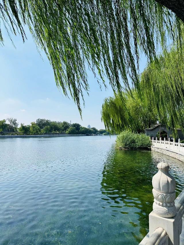 北京什刹海｜北國水鄉畫卷。