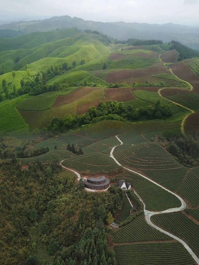 黎平龍形衝 TEATEL 茶主題民宿。