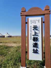金蓮川：空氣裡都是「菊花茶」的芬芳！。
