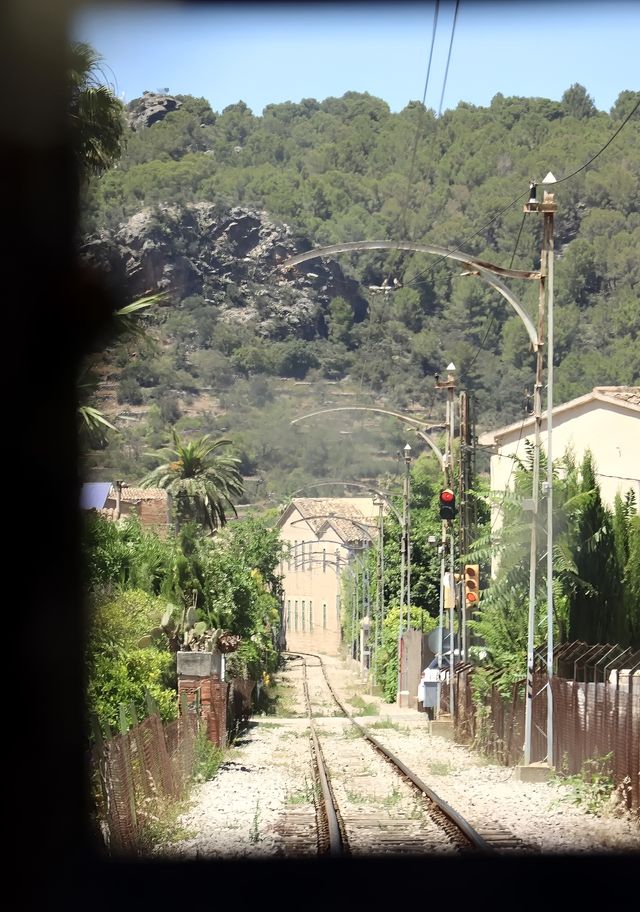 帕爾馬馬洛卡旅遊攻略。
