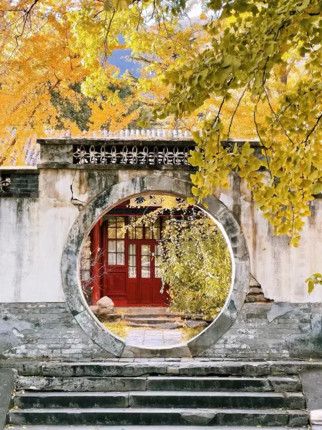 邂逅北京之秋，共賞斑斕盛景。