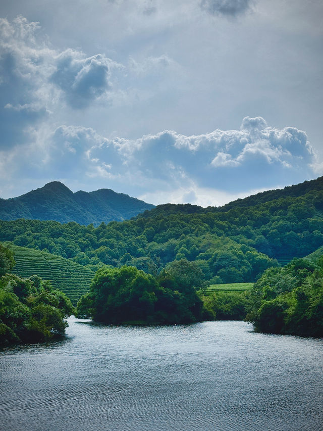 杭州光明寺：邂逅禪意，靜享時光。