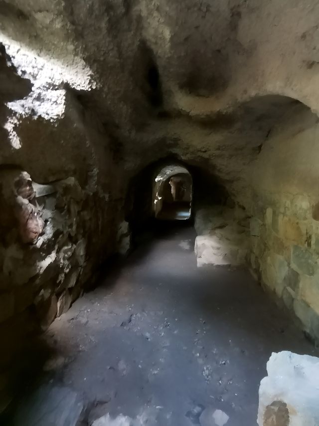 參觀東雞冠山日俄戰爭遺址。