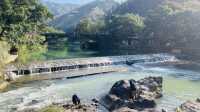 戶外行山一日遊｜桐廬•馬嶺古道。