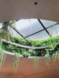 新開幕的五星級酒店。