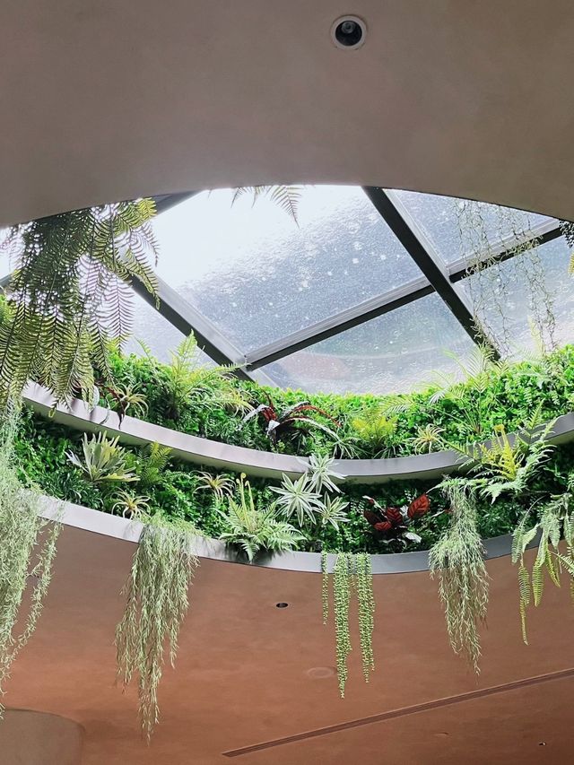 新開幕的五星級酒店。