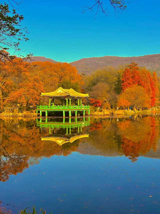 南京の紅葉狩りで99％の観光客を避ける、マイナーでラクチンなルートをご紹介します。