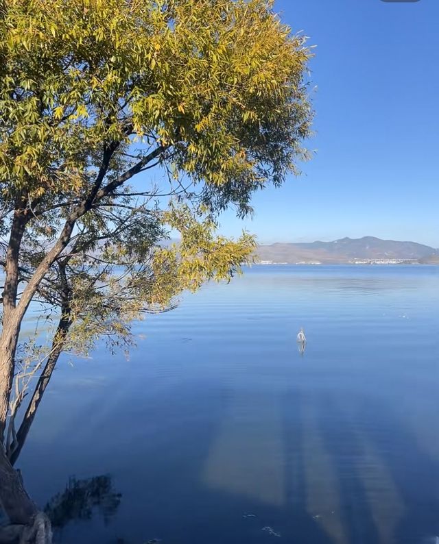 雲南大理洱海 | 風花雪月的夢幻之旅。