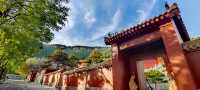青州龍興寺。