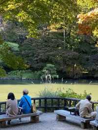 The Best Places to Enjoy Autumn Foliage in Nagoya