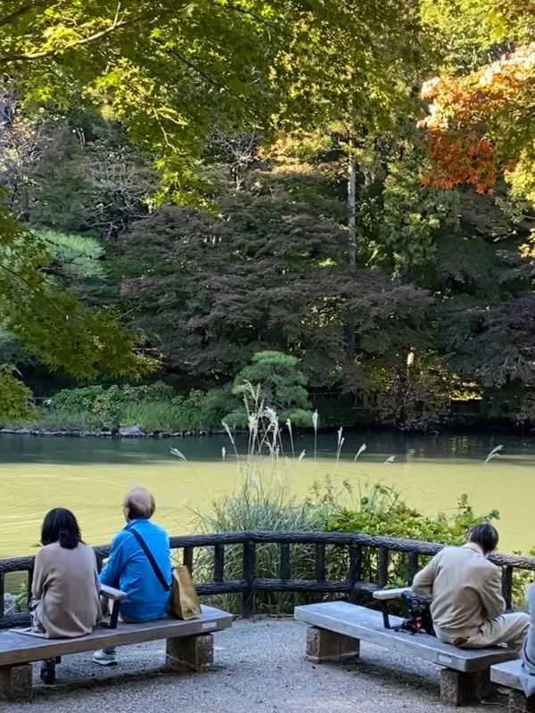 The Best Places to Enjoy Autumn Foliage in Nagoya