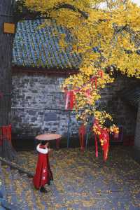 成都周邊1H｜赴一場千年古寺的銀杏之約。