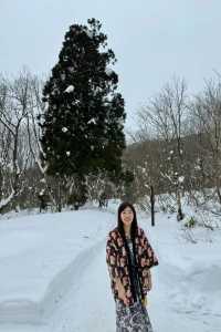 Discovering the Hidden Hot Springs of Akita's Nyuto Onsen Village in Japan