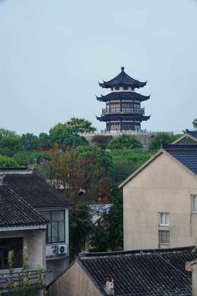 蘇州網紅咖啡室究竟去哪家？看這一篇就足夠。