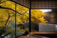 北京「銀杏之窗」—北京首都賓館。