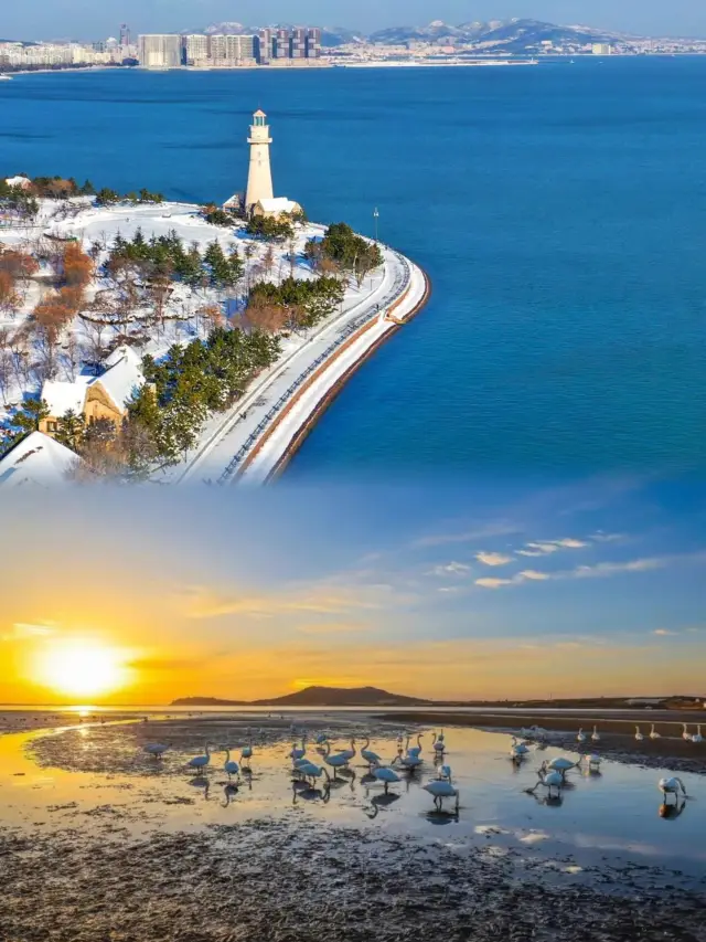 Qingdao︴Weihai | The seaside is more romantic with snow. 