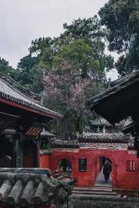 四川綿陽｜七曲山，天下第九座名山。