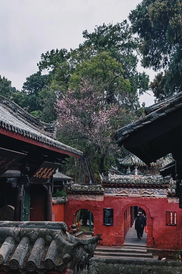 四川綿陽｜七曲山，天下第九座名山。
