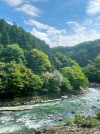 日本秋遊全攻略美景等你來探索。