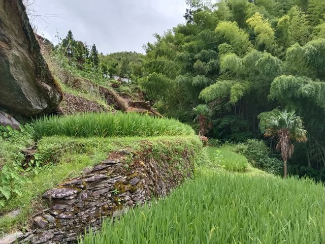 雲端上的瑤寨