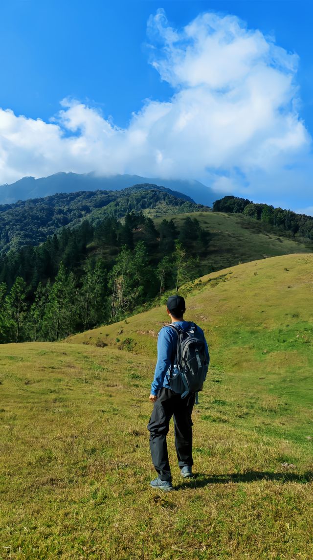 據說這裡的高山草甸獨屬海南·同款阿勒泰天花板