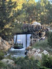 A Day at California Disneyland: 16 Rides and More!