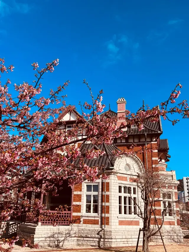 6-Day Japan Itinerary: A Detailed Guide