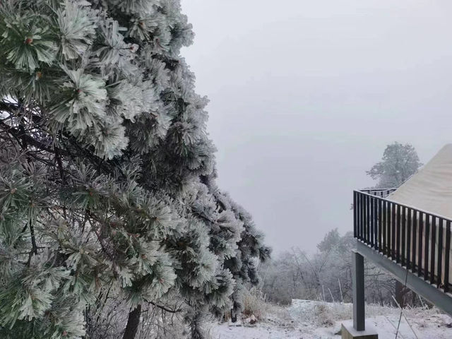 杭州牽牛崗徒步 霧凇 雪 雲海