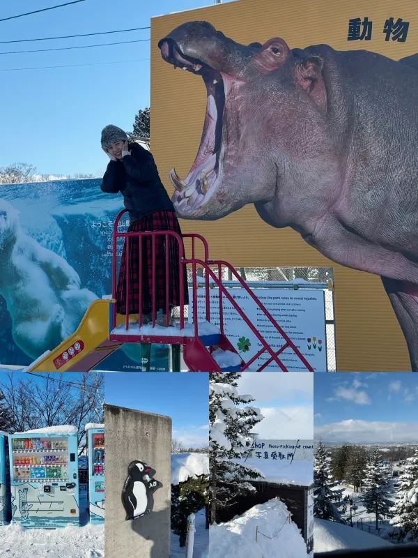 旭川 | 🐧可愛動物園&周邊好吃拉麵店🍜
