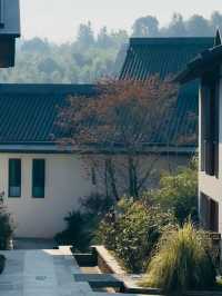 景德鎮浮梁高嶺中國村·花開幸福里酒店