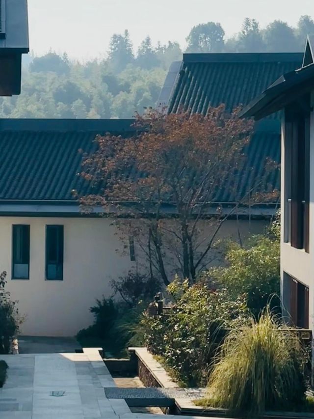 景德鎮浮梁高嶺中國村·花開幸福里酒店