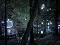 Capilano Suspension Bridge Park during Christmas Month