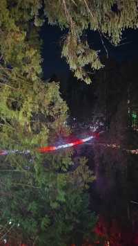 Capilano Suspension Bridge Park's Light Show