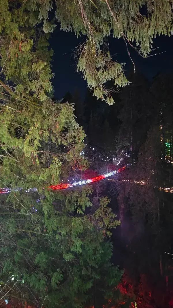 Capilano Suspension Bridge Park's Light Show