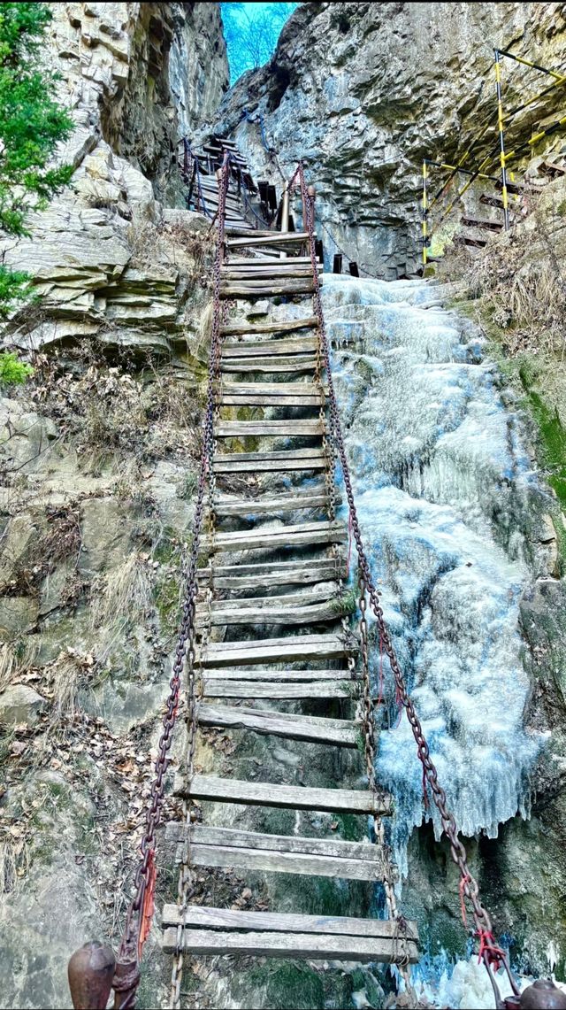 百山計劃–綿山
