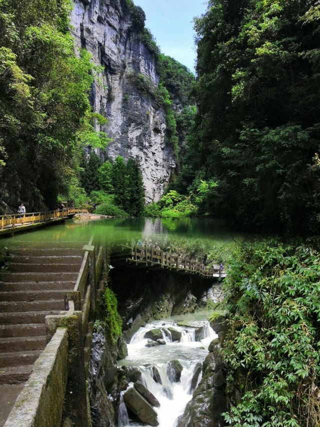 想去武隆旅遊的看這裡乾貨滿滿。