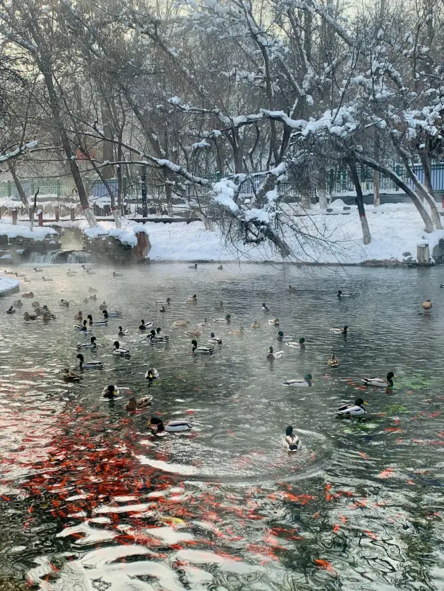 "水磨溝一日遊：烏魯木齊的清涼避暑勝地"