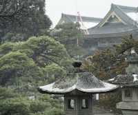 樂在大雪紛飛—日本長野