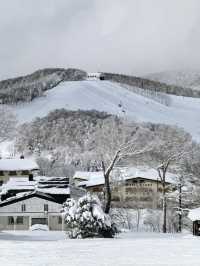 Explore the Dynamic Skiing Experience at Shiga Kogen Ski Resort in Nagano