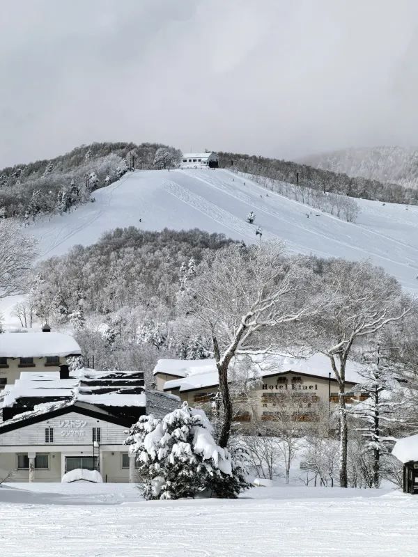 Explore the Dynamic Skiing Experience at Shiga Kogen Ski Resort in Nagano