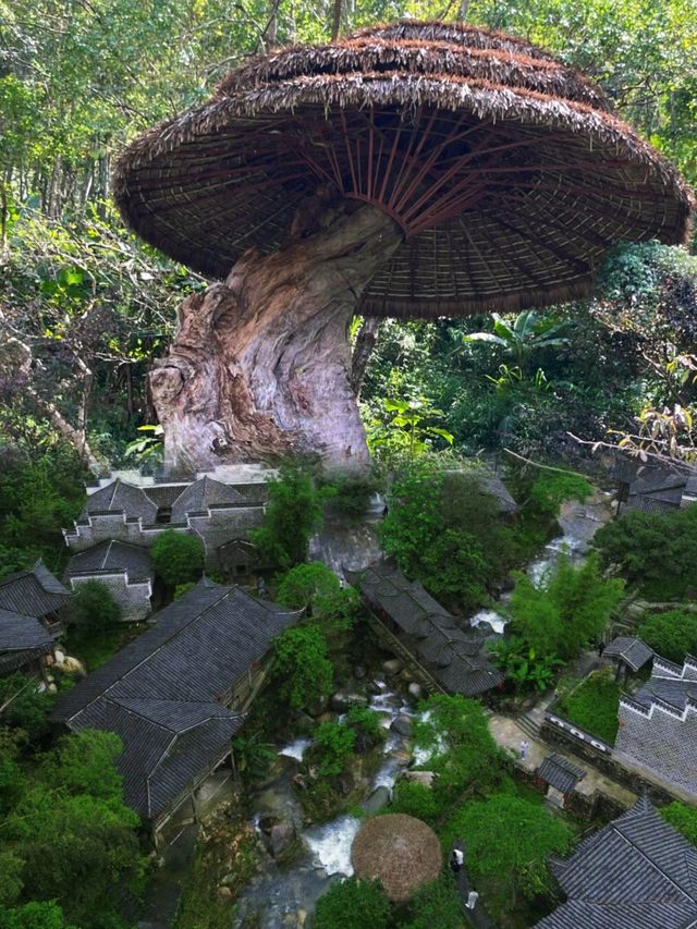 廣州出發兩小時，是個適合全家老小一起出遊的地方。